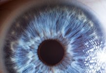 L’intelligenza artificiale di Google ora previene la cecità da diabete intelligenza artificiale