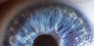 intelligenza artificiale